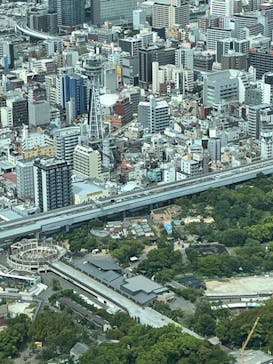 ハルカス300(展望台)に投稿された画像（2023/9/14）