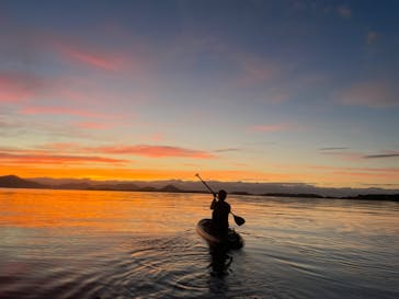SIGNAL（シグナル） マイアミベースに投稿された画像（2023/9/14）