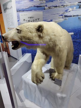 特別展「海　―生命のみなもと―」（国立科学博物館）に投稿された画像（2023/9/14）