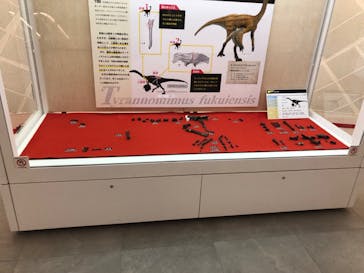 福井県立恐竜博物館に投稿された画像（2023/9/14）