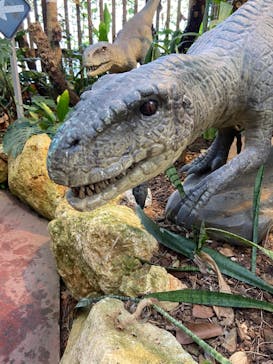 ナゴパイナップルパークに投稿された画像（2023/9/14）