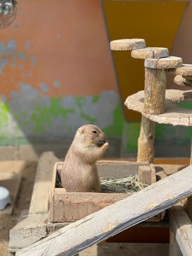 淡路ファームパーク イングランドの丘に投稿された画像（2023/9/14）