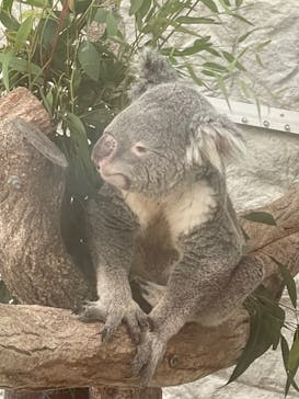 淡路ファームパーク イングランドの丘に投稿された画像（2023/9/14）