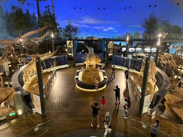 福井県立恐竜博物館に投稿された画像（2023/9/14）