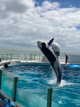 鴨川シーワールドに投稿された画像（2023/9/14）