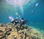 青の洞窟専門店　沖縄ダイビングショップ和に投稿された画像（2023/9/14）