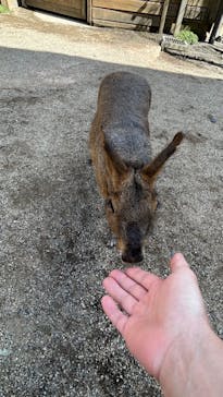 那須どうぶつ王国に投稿された画像（2023/9/14）