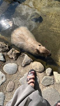 那須どうぶつ王国に投稿された画像（2023/9/14）