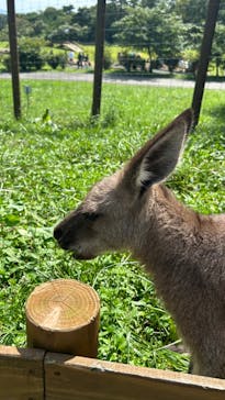 那須どうぶつ王国に投稿された画像（2023/9/14）