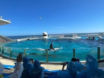 鴨川シーワールドに投稿された画像（2023/9/14）