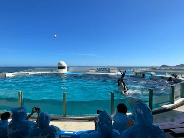 鴨川シーワールドに投稿された画像（2023/9/14）