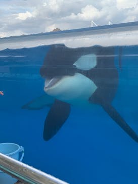 名古屋港水族館に投稿された画像（2023/9/14）