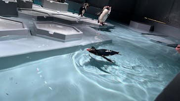 AOAO SAPPOROに投稿された画像（2023/9/14）