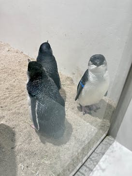 AOAO SAPPOROに投稿された画像（2023/9/14）