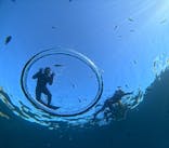 青の洞窟専門店　沖縄ダイビングショップ和に投稿された画像（2023/9/15）