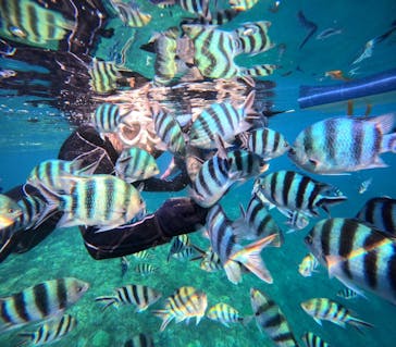 青の洞窟専門店　沖縄ダイビングショップ和に投稿された画像（2023/9/14）