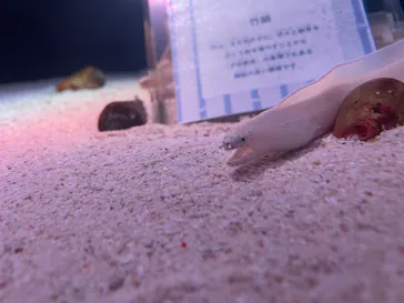 マクセル アクアパーク品川に投稿された画像（2023/9/14）