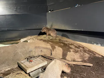 マクセル アクアパーク品川に投稿された画像（2023/9/14）