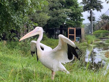 九十九島動植物園森きららに投稿された画像（2023/9/15）