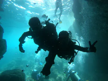 武藤潜水に投稿された画像（2023/9/15）