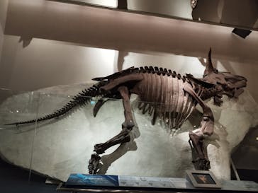 国立科学博物館に投稿された画像（2023/9/15）