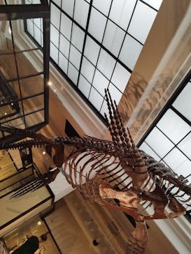 国立科学博物館に投稿された画像（2023/9/15）