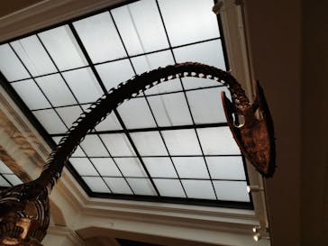 国立科学博物館に投稿された画像（2023/9/15）