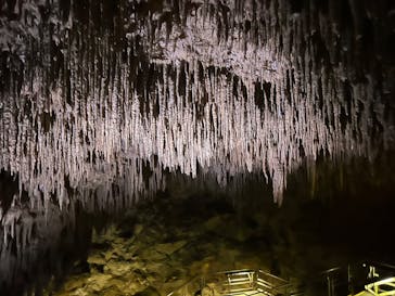 おきなわワールドに投稿された画像（2023/9/15）