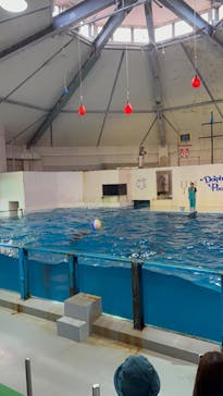 登別マリンパークニクスに投稿された画像（2023/9/15）