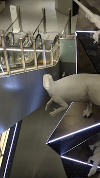 福井県立恐竜博物館に投稿された画像（2023/9/15）