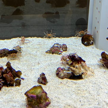 AOAO SAPPOROに投稿された画像（2023/9/15）