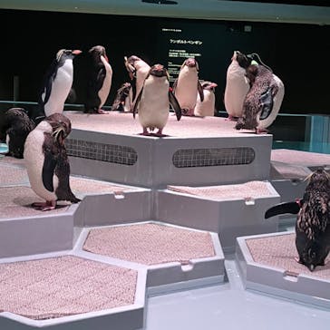 AOAO SAPPOROに投稿された画像（2023/9/15）