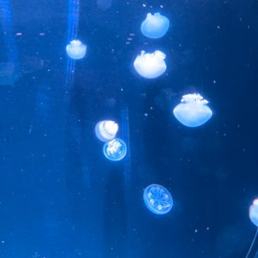 AOAO SAPPOROに投稿された画像（2023/9/15）