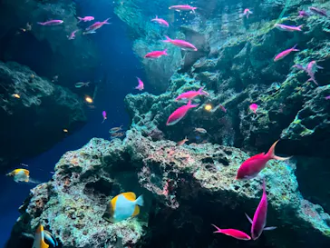 マクセル アクアパーク品川に投稿された画像（2023/9/15）