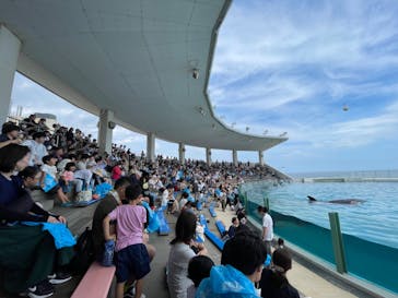 鴨川シーワールドに投稿された画像（2023/9/15）