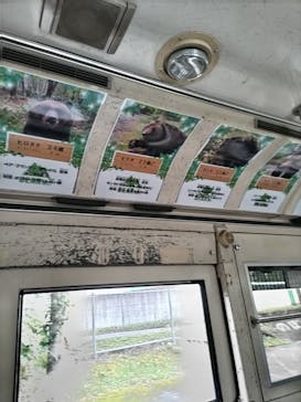 サホロリゾート　ベア･マウンテンに投稿された画像（2023/9/15）