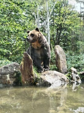 サホロリゾート　ベア･マウンテンに投稿された画像（2023/9/15）