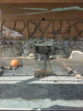 東武動物公園に投稿された画像（2023/9/15）