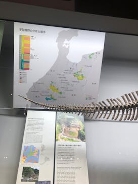 福井県立恐竜博物館に投稿された画像（2023/9/15）