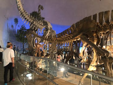 福井県立恐竜博物館に投稿された画像（2023/9/15）