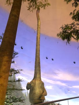 福井県立恐竜博物館に投稿された画像（2023/9/15）