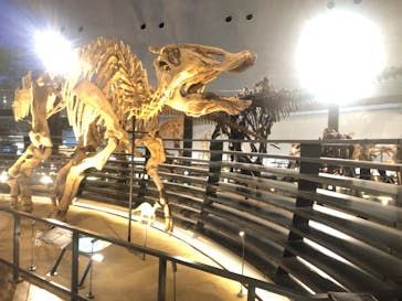 福井県立恐竜博物館に投稿された画像（2023/9/15）
