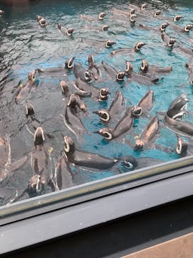 上越市立水族博物館 うみがたりに投稿された画像（2023/9/15）