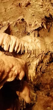 はままつフラワーパークに投稿された画像（2023/9/15）