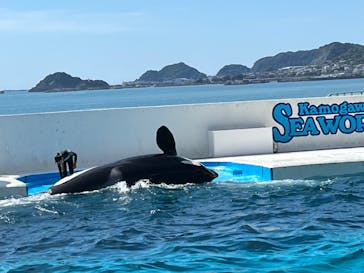 鴨川シーワールドに投稿された画像（2023/9/15）