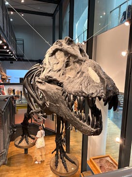 福井県立恐竜博物館に投稿された画像（2023/9/15）