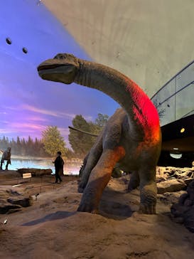福井県立恐竜博物館に投稿された画像（2023/9/15）