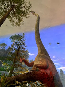 福井県立恐竜博物館に投稿された画像（2023/9/15）