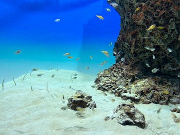 アクアワールド茨城県大洗水族館に投稿された画像（2023/9/15）