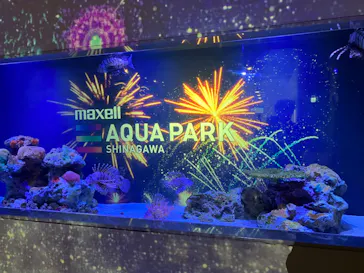 マクセル アクアパーク品川に投稿された画像（2023/9/15）